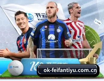 关于我们 - 体育资讯内容服务 | FeiFanSports